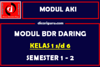 Modul BDR Daring SD