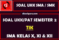 Soal UKK / PAT TIK SMA Kelas 10, 11, 12 Semester 2