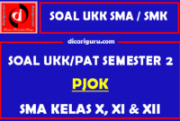 Soal UKK / PAT PJOK SMA Kelas 10, 11, 12 Semester 2