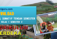 Sumatif Tengah Semester PPKN Kelas 1 Semester 2