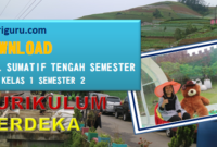 Sumatif Tengah Semester PJOK Kelas 1 Semester 2